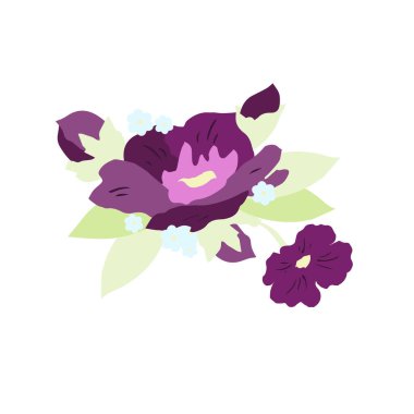 Güzel mor çiçekler ve beyaz yapraklar