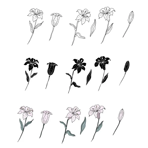 Conjunto Hermosas Flores Púrpuras Hojas Aisladas Blanco — Vector de stock