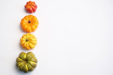 beyaz arkaplanda kabaklar