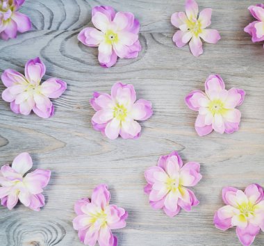 Ahşap arka planda pembe çiçekler