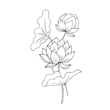 vector illustration of a beautiful botanical sketch flower