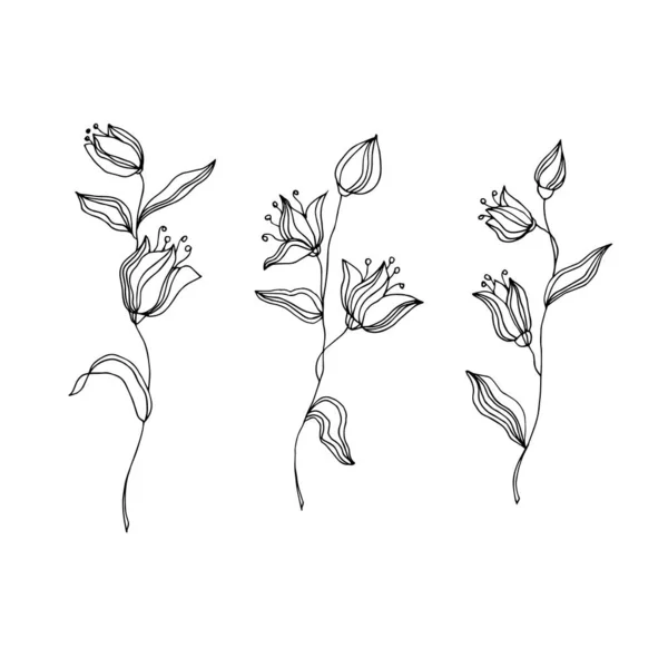 Vectorillustratie Van Handgetekende Bloemen — Stockvector