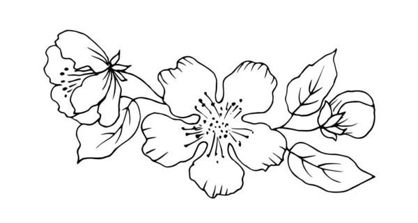 Vektorová Ilustrace Sady Květin — Stockový vektor