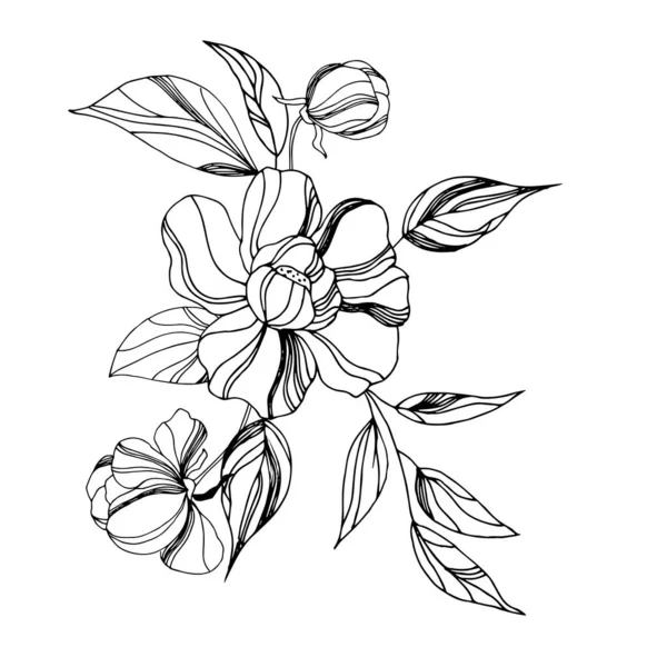 Ilustración Vectorial Magnolia Flores Dibujo Tinta Grabado Blanco Negro — Vector de stock