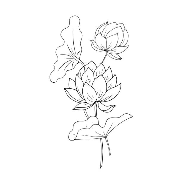 Vector Illustration Beautiful Botanical Sketch Flower — Vetor de Stock