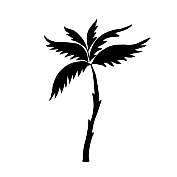 Návrh Vektorového Ilustrace Palmového Stromu — Stockový vektor