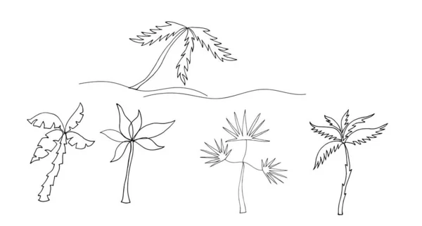 Vectorillustratie Van Een Verzameling Palmbomen Geïsoleerd Witte Achtergrond — Stockvector