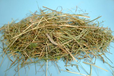 Kuru otların yakın plan çekimi 