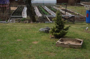 Bitkilerle dolu arka bahçe manzarası