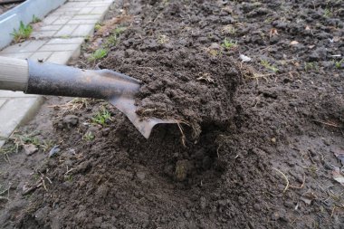 Bahçede kürek kazmak.