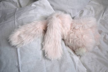 Yatakta oyuncak tavşan