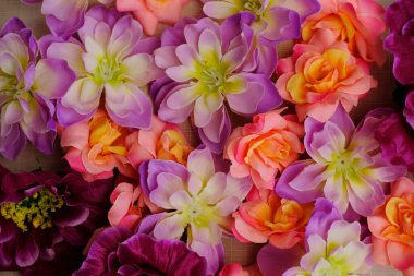 Güzel çiçekler kapanıyor.