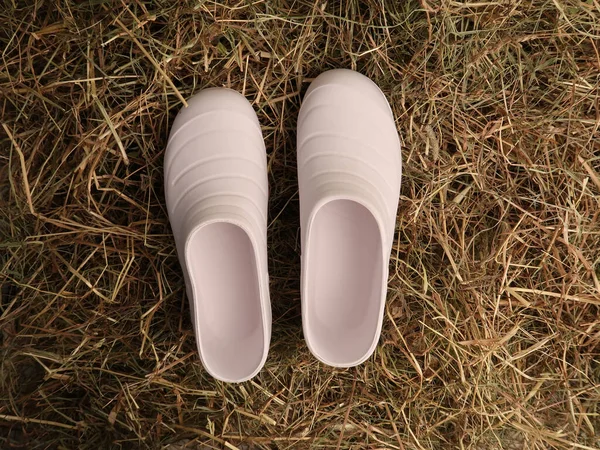 Witte Schoenen Een Groen Gras — Stockfoto