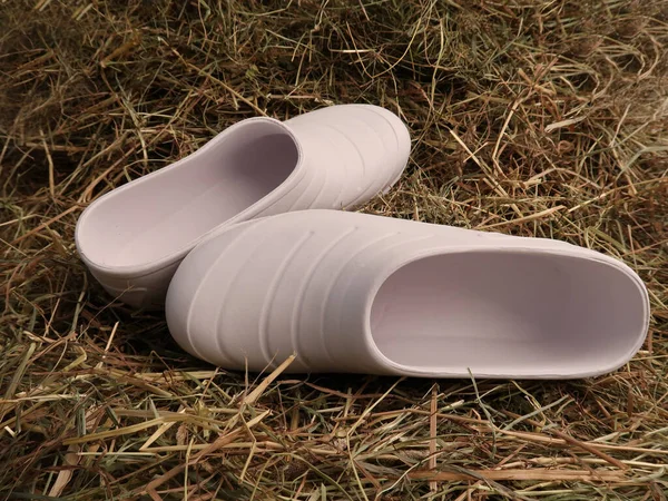 Witte Schoenen Een Groen Gras — Stockfoto