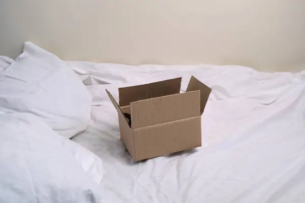 Caja Cartón Cama —  Fotos de Stock