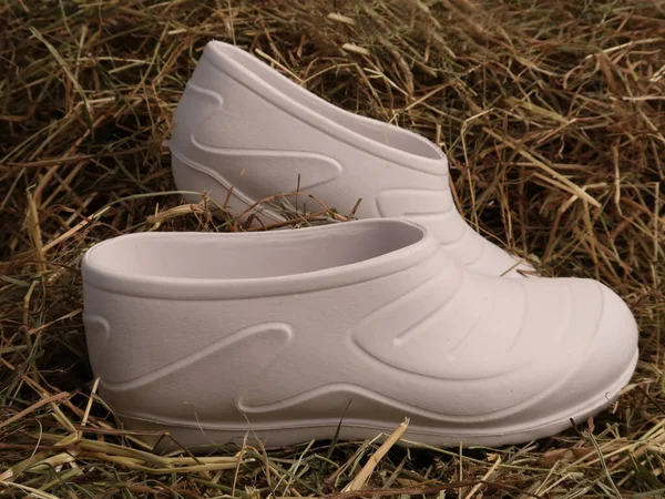 Zapatos Blancos Una Hierba Verde —  Fotos de Stock