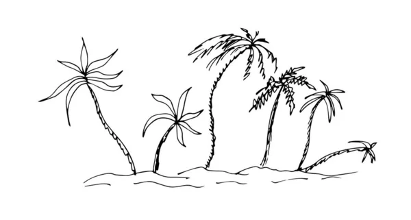 Icône Des Palmiers Illustration Contour — Image vectorielle