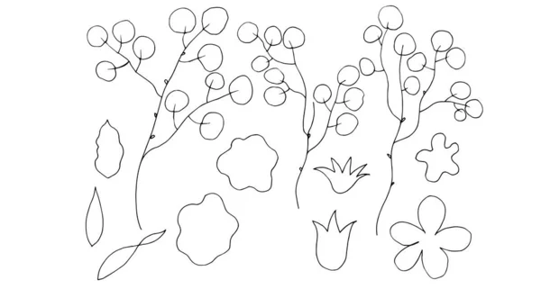 Reihe Von Vektorillustrationen Von Pflanzen Blättern Blumen — Stockvektor