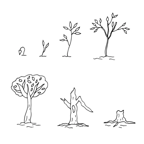 Σύνολο Δέντρων Σκίτσο Διανυσματική Απεικόνιση — Διανυσματικό Αρχείο