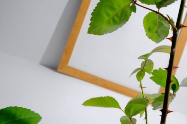 Etrafı yeşilliklerle çevrili ahşap bir çerçevede beyaz kağıt. Poster için maket.