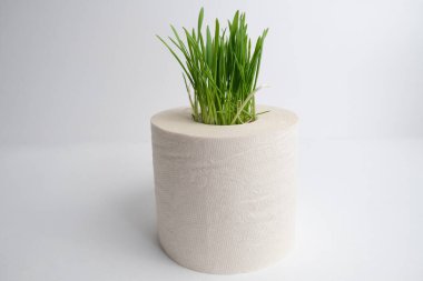 Tuvalet kağıdındaki yeşil çimenler.