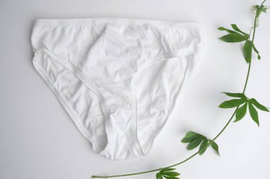 Gri arka planda beyaz külot. İç çamaşırı.