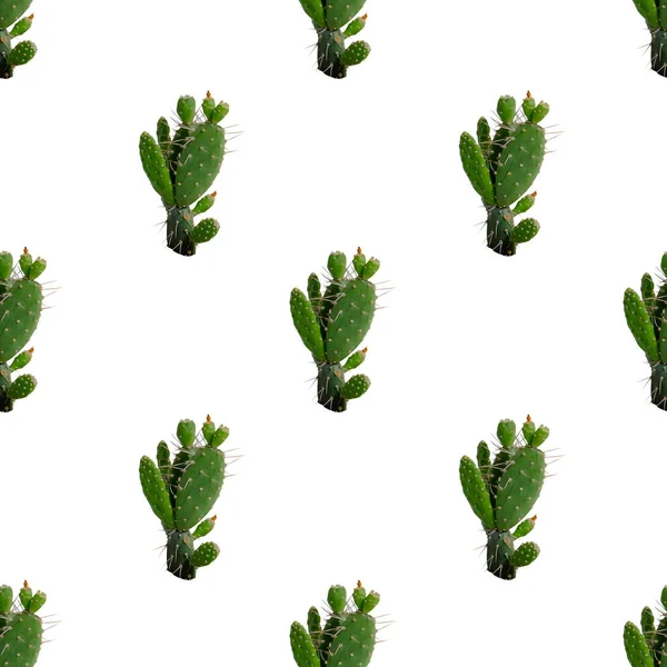 Seamless pattern of prickly pear cactuses on a white background.