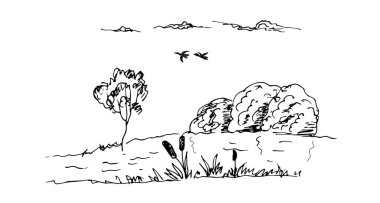 Bir orman çiziminin vektör çizimi