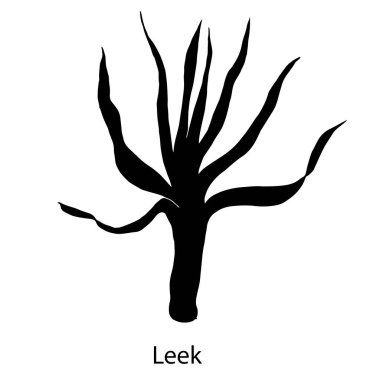 Beyaz üzerindeki pırasanın vektör çizimi 