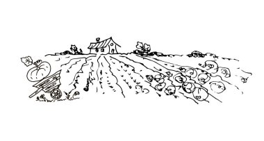 Bir alanın el çizimi çiziminin vektör çizimi 