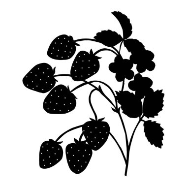 Dalların üzerinde çilek. Vektör çizimi. Siyah siluet.