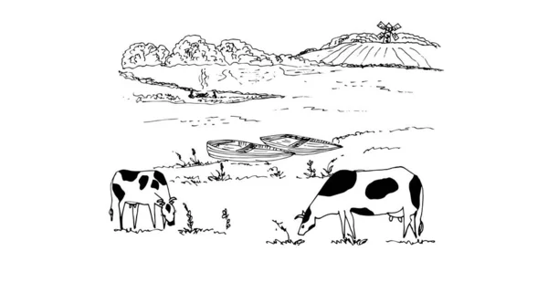 Krajobraz Wiejski Polem Krowami — Wektor stockowy