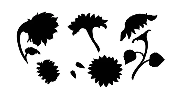 Girasoli Diverse Angolazioni Silhouette Nera — Vettoriale Stock