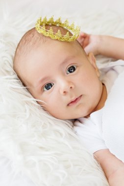 Yeni doğmuş bir erkek bebeğin portresi 