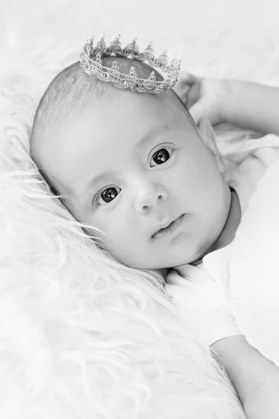 Portrait of a newborn baby boy — Stock Photo, Image