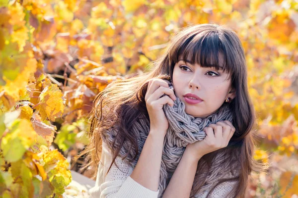 Retrato de otoño de una joven — Foto de Stock