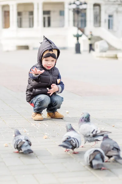 Mignon petit garçon nourrit les pigeons — Photo