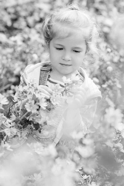 Vårportrett av en liten jente – stockfoto