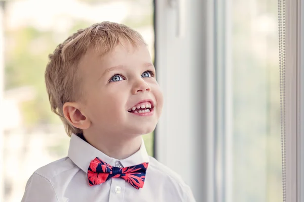 Portrait of a happy little boy — Stock Photo, Image