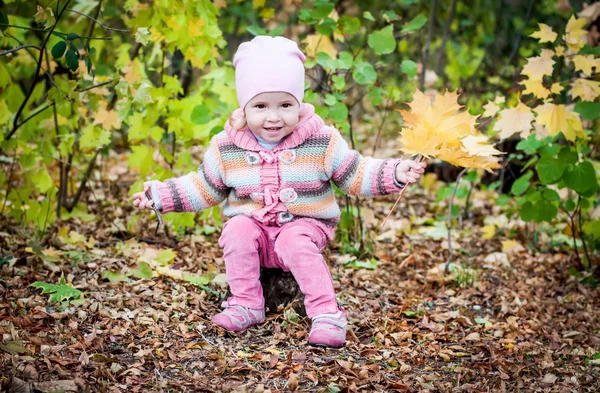 Felice bambina raccoglie le foglie — Foto Stock