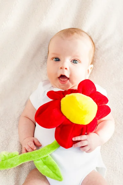 Retrato de um bebê com flor — Fotografia de Stock