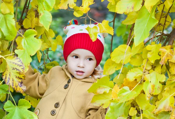 Portret van een klein meisje — Stockfoto