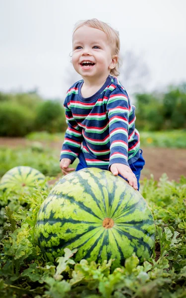 Happy toddler boy chooses a watermelon — Stock Photo, Image