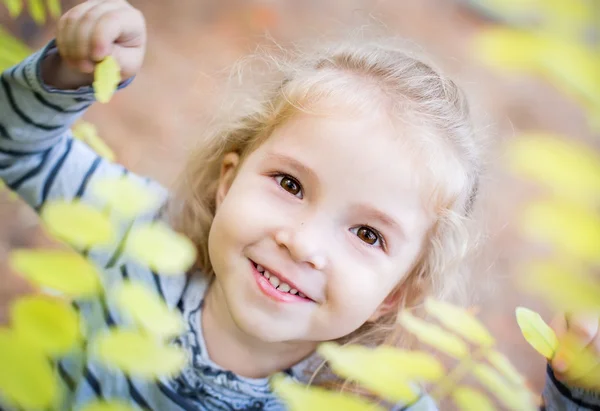 Šťastná holčička mezi žluté listy na podzim — Stock fotografie