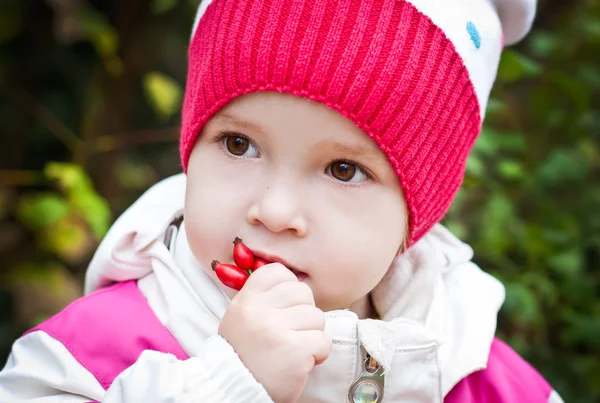 Φθινόπωρο πορτρέτο του χαριτωμένο μικρό κορίτσι — Φωτογραφία Αρχείου