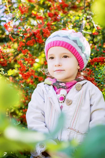 Küçük bir kız sonbahar portresi — Stok fotoğraf