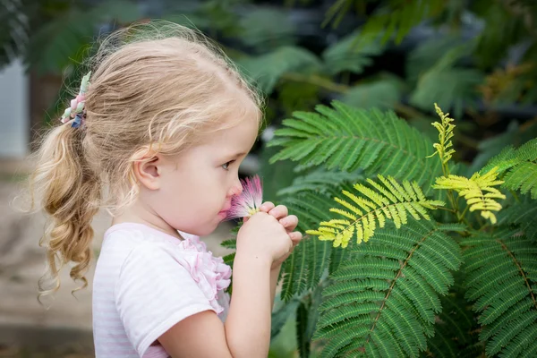 Menina bonito cheirando uma flor — Fotografia de Stock