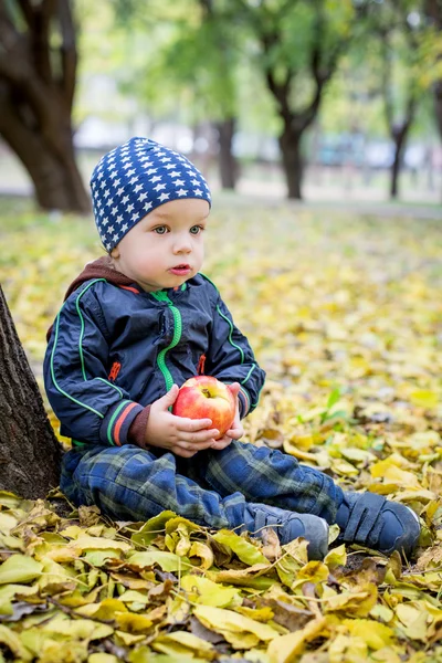 Adorável menino criança no parque de outono — Fotografia de Stock