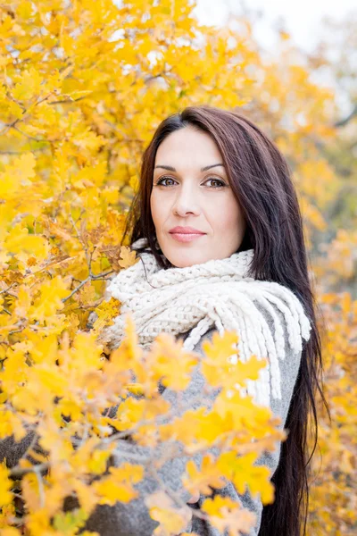 Retrato de una hermosa mujer de mediana edad — Foto de Stock