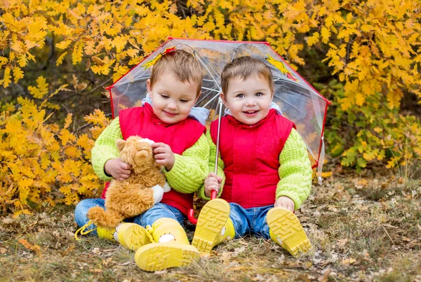 Happy toddler children under an umbrella — Stock Photo, Image